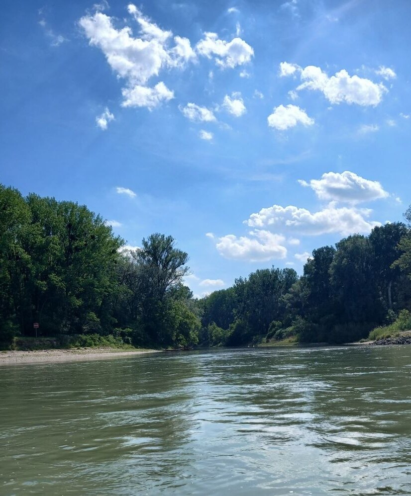 The Danube flowing between green forested banks under a summer sky